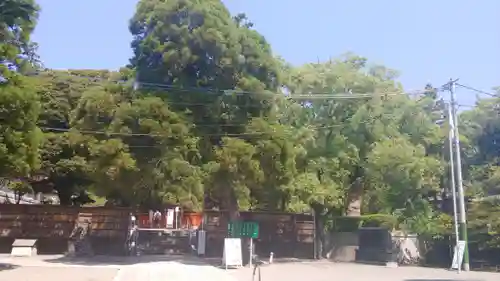 香椎宮のその他建物