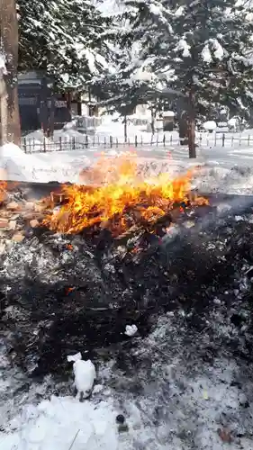 新琴似神社の体験その他