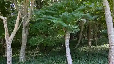 稲荷神社の自然