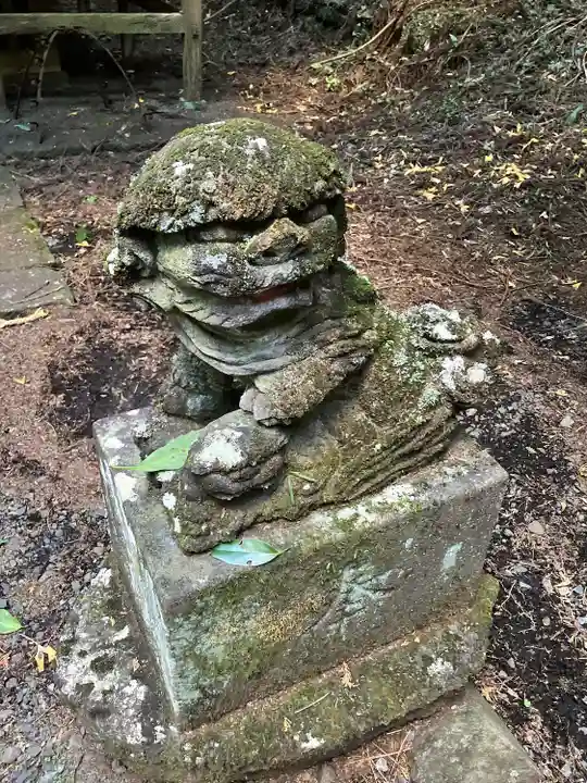 荊沢高龗神社の狛犬