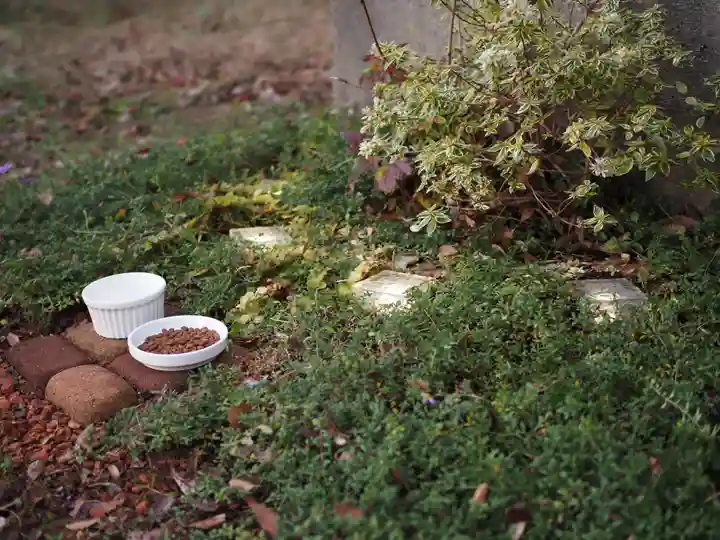 天王山 安楽寺(福井県)