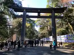 明治神宮の鳥居