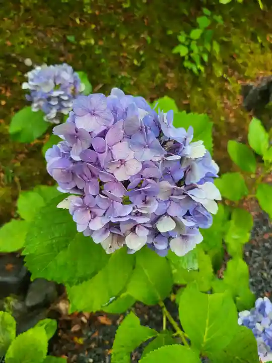 東福禅寺(東福寺)(京都府)
