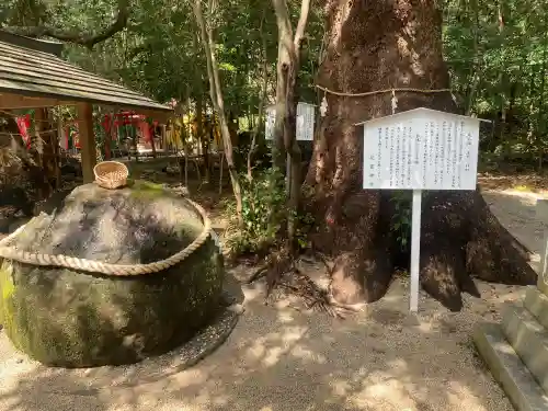 花窟神社の{uncategorized: "未分類", other: "その他", undefined: "問題あり", building: "その他建物", grave: "お墓", sacred_gate: "鳥居", guardian: "狛犬", statue: "像", buddha: "仏像", history: "歴史", nature: "自然", garden: "庭園", animal: "動物", pagoda: "塔", temizu: "手水舎", mountain_gate: "山門・神門", sanctuary: "本殿・本堂", subordinate: "末社・摂社", art: "芸術", scenery: "景色", jizo: "地蔵", ema: "絵馬", goshuin: "御朱印", omikuji: "おみくじ", items: "授与品その他", amulet: "お守り", goshuincho: "御朱印帳", eats: "食事", festival: "お祭り", votive_dance: "神楽", shichigosan: "七五三参", wedding: "結婚式", experience: "体験その他", initially: "初詣", around: "周辺", anti_infection: "感染症対策"}