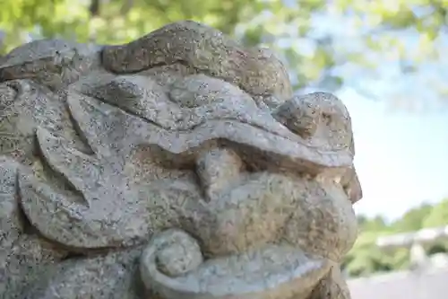 常磐神社の狛犬