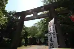 上野東照宮の鳥居