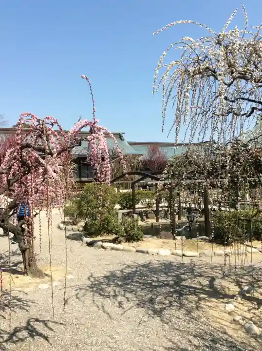 結城神社の{uncategorized: "未分類", other: "その他", undefined: "問題あり", building: "その他建物", grave: "お墓", sacred_gate: "鳥居", guardian: "狛犬", statue: "像", buddha: "仏像", history: "歴史", nature: "自然", garden: "庭園", animal: "動物", pagoda: "塔", temizu: "手水舎", mountain_gate: "山門・神門", sanctuary: "本殿・本堂", subordinate: "末社・摂社", art: "芸術", scenery: "景色", jizo: "地蔵", ema: "絵馬", goshuin: "御朱印", omikuji: "おみくじ", items: "授与品その他", amulet: "お守り", goshuincho: "御朱印帳", eats: "食事", festival: "お祭り", votive_dance: "神楽", shichigosan: "七五三参", wedding: "結婚式", experience: "体験その他", initially: "初詣", around: "周辺", anti_infection: "感染症対策"}