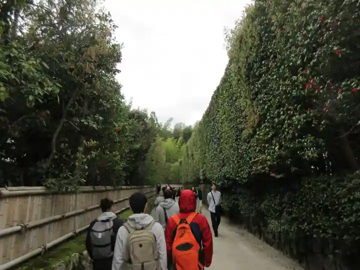慈照寺(慈照禅寺・銀閣寺)(京都府)
