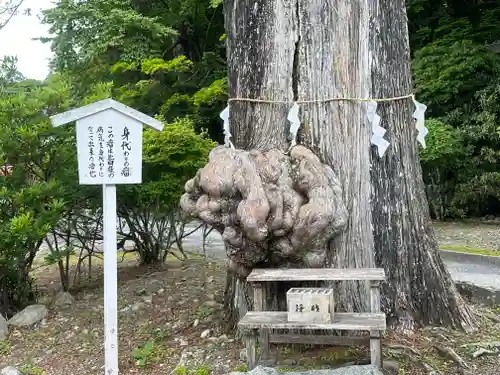 中禅寺(栃木県)