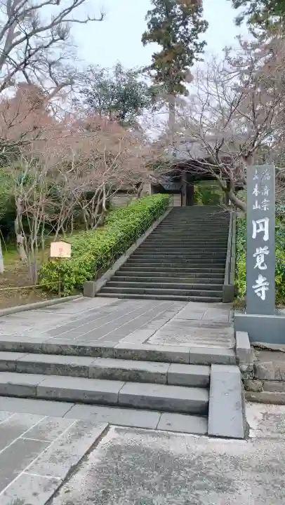 円覚寺の{uncategorized: "未分類", other: "その他", undefined: "問題あり", building: "その他建物", grave: "お墓", sacred_gate: "鳥居", guardian: "狛犬", statue: "像", buddha: "仏像", history: "歴史", nature: "自然", garden: "庭園", animal: "動物", pagoda: "塔", temizu: "手水舎", mountain_gate: "山門・神門", sanctuary: "本殿・本堂", subordinate: "末社・摂社", art: "芸術", scenery: "景色", jizo: "地蔵", ema: "絵馬", goshuin: "御朱印", omikuji: "おみくじ", items: "授与品その他", amulet: "お守り", goshuincho: "御朱印帳", eats: "食事", festival: "お祭り", votive_dance: "神楽", shichigosan: "七五三参", wedding: "結婚式", experience: "体験その他", initially: "初詣", around: "周辺", anti_infection: "感染症対策"}
