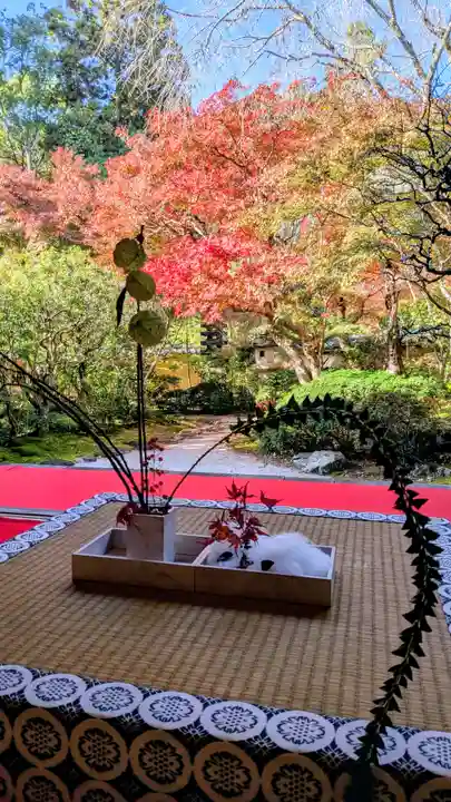 光明寺(粟生光明寺)(京都府)