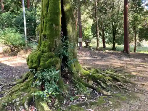 八幡神社(兵庫県)