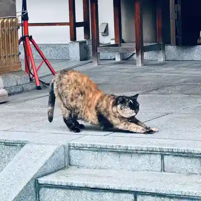 榮稲荷神社(福井県)