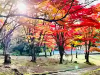 土津神社|こどもと出世の神さまのその他建物