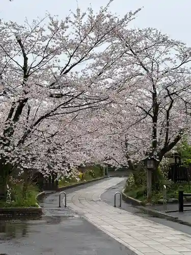 高麗神社(埼玉県)