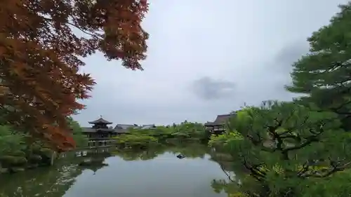 平安神宮の庭園