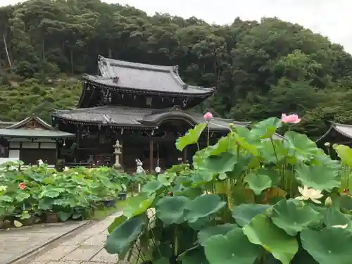 三室戸寺の庭園