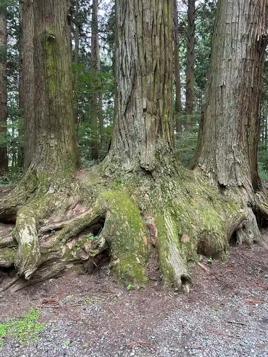 北口本宮冨士浅間神社(山梨県)