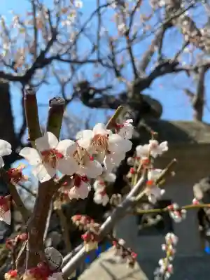 祖母井神社の{uncategorized: "未分類", other: "その他", undefined: "問題あり", building: "その他建物", grave: "お墓", sacred_gate: "鳥居", guardian: "狛犬", statue: "像", buddha: "仏像", history: "歴史", nature: "自然", garden: "庭園", animal: "動物", pagoda: "塔", temizu: "手水舎", mountain_gate: "山門・神門", sanctuary: "本殿・本堂", subordinate: "末社・摂社", art: "芸術", scenery: "景色", jizo: "地蔵", ema: "絵馬", goshuin: "御朱印", omikuji: "おみくじ", items: "授与品その他", amulet: "お守り", goshuincho: "御朱印帳", eats: "食事", festival: "お祭り", votive_dance: "神楽", shichigosan: "七五三参", wedding: "結婚式", experience: "体験その他", initially: "初詣", around: "周辺", anti_infection: "感染症対策"}