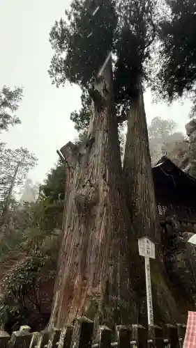 榛名神社(群馬県)