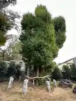 駒形堂(千葉県)