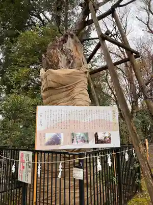 布多天神社の歴史