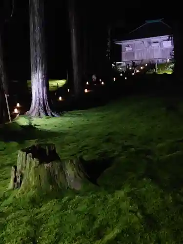 平泉寺白山神社の自然