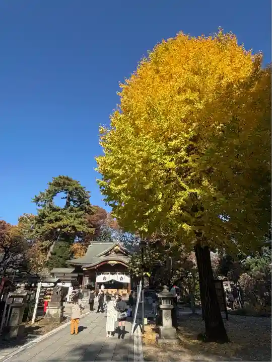 布多天神社(東京都)