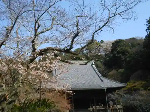 妙本寺の景色