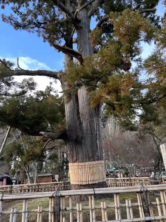 日高神社(岩手県)