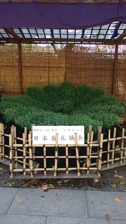 靖國神社の自然