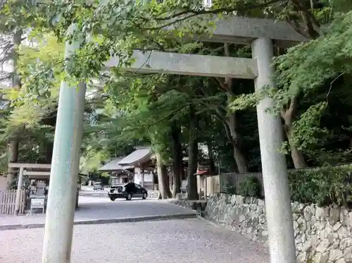 椿大神社の鳥居