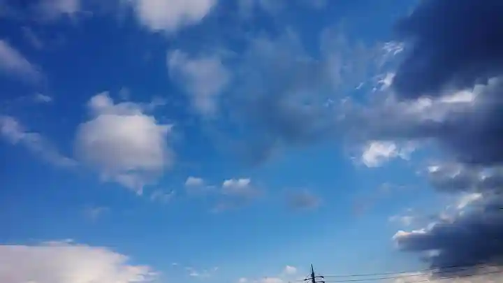 尾張大國霊神社(国府宮)の自然