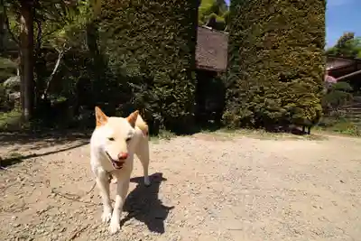 八王寺(埼玉県)