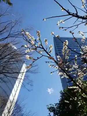 東郷神社(東京都)