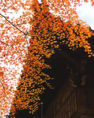 四合稲荷神社(東京都)