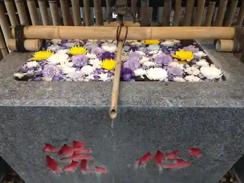 高円寺氷川神社の手水