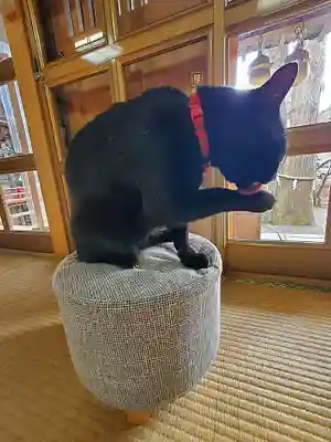 高司神社〜むすびの神の鎮まる社〜(福島県)