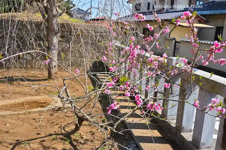 酒列磯前神社(茨城県)
