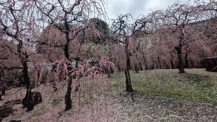 城南宮(京都府)