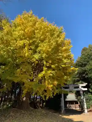 星宮神社(千葉県)