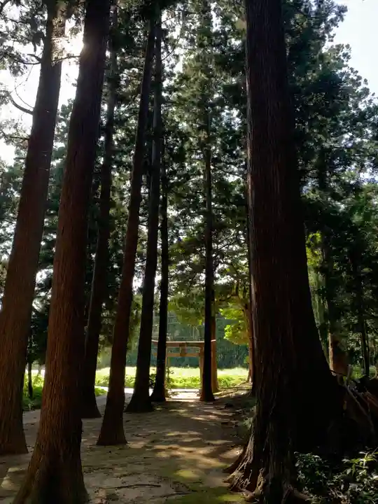 出戸稲荷神社(千葉県)