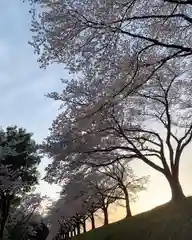 滑川神社 - 仕事と子どもの守り神の自然