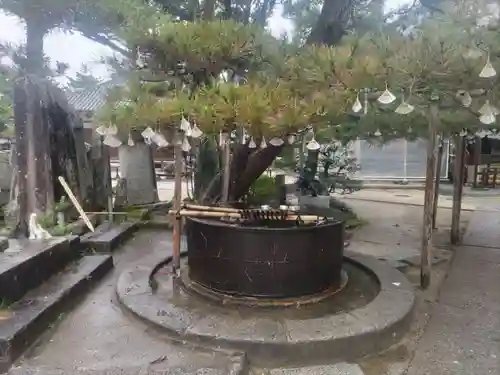 智恩寺(京都府)