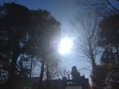 阿佐ヶ谷神明宮(東京都)