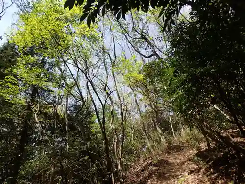 大元神社（宇佐神宮奥宮）の自然