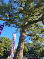 伊勢神宮内宮(皇大神宮)の自然