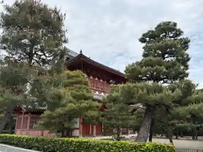 総見院の{uncategorized: "未分類", other: "その他", undefined: "問題あり", building: "その他建物", grave: "お墓", sacred_gate: "鳥居", guardian: "狛犬", statue: "像", buddha: "仏像", history: "歴史", nature: "自然", garden: "庭園", animal: "動物", pagoda: "塔", temizu: "手水舎", mountain_gate: "山門・神門", sanctuary: "本殿・本堂", subordinate: "末社・摂社", art: "芸術", scenery: "景色", jizo: "地蔵", ema: "絵馬", goshuin: "御朱印", omikuji: "おみくじ", items: "授与品その他", amulet: "お守り", goshuincho: "御朱印帳", eats: "食事", festival: "お祭り", votive_dance: "神楽", shichigosan: "七五三参", wedding: "結婚式", experience: "体験その他", initially: "初詣", around: "周辺", anti_infection: "感染症対策"}
