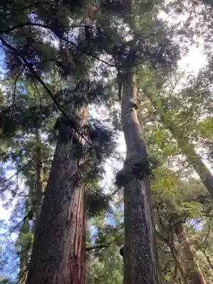 伊勢神宮内宮（皇大神宮）(三重県)