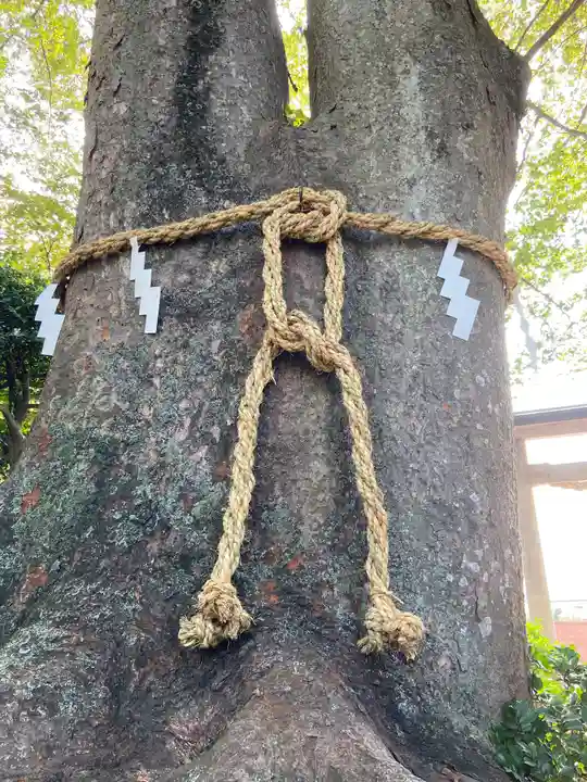 比々多神社の自然